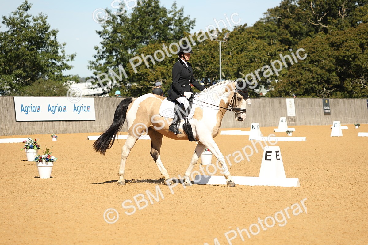SBM_19664 - D10 - Small Tour Championship - Prelim 2