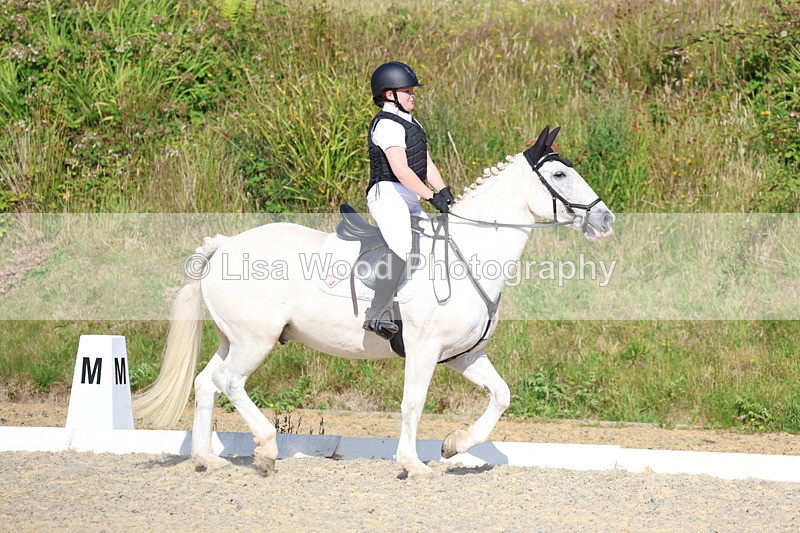 3E7A3351 - Class 2: Intro 1 2024 Section B