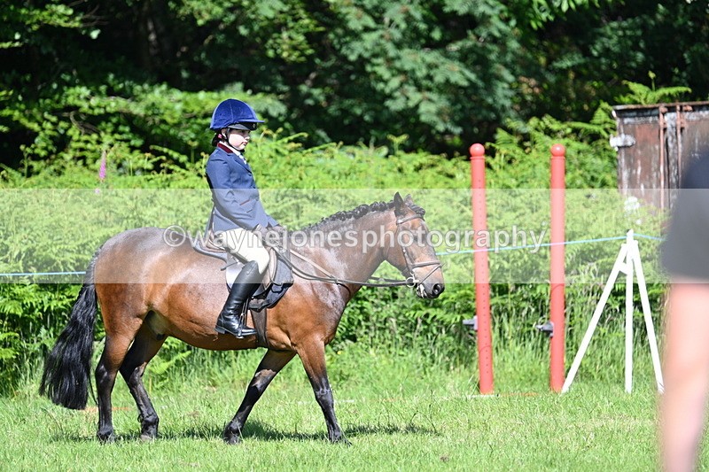 WJ7_0656 - Class 8 First Rally Pony