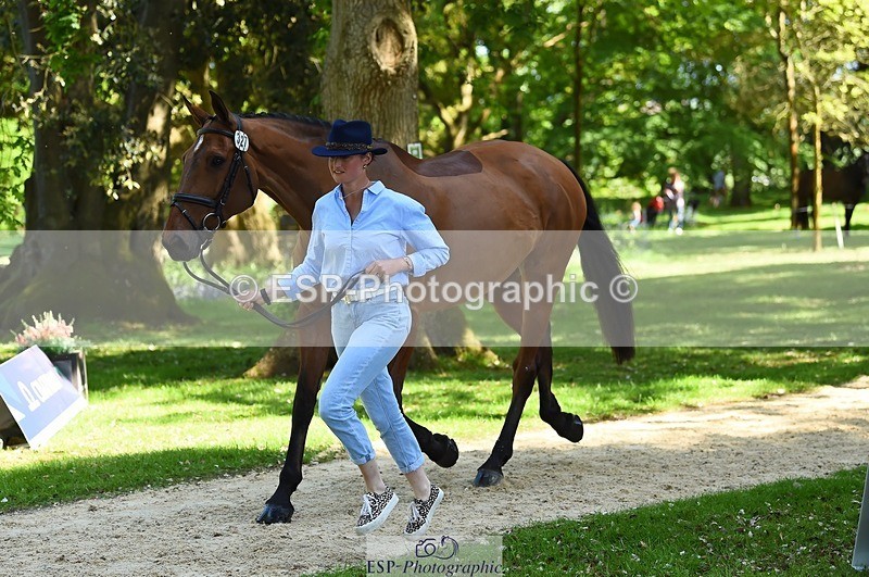 230524-152534-00258 - 327-ROMANTIC-Rosie_Fry-WEDTrotUp+DR