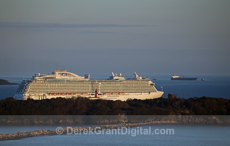 Regal Princess Partridge Island Cruise Ships Saint John New Brunswick - Cruise Ships