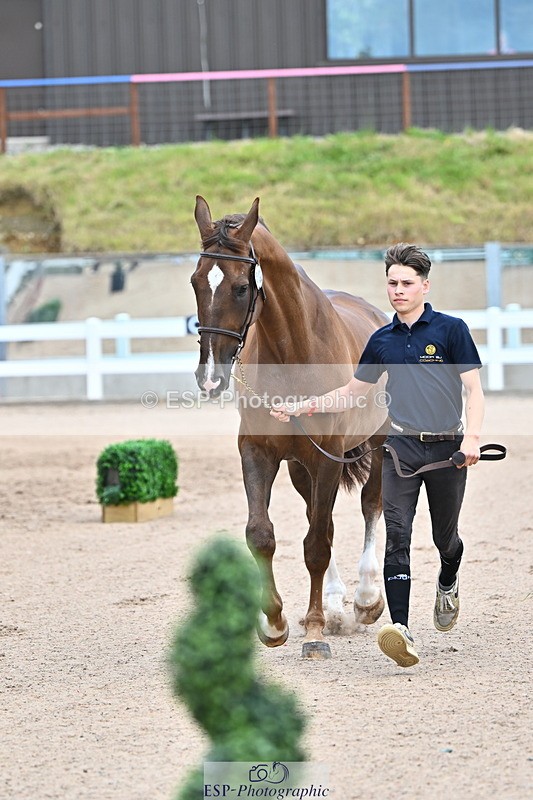 240718A-105324-01964 - Trot Up 2pm to 3pm - This folder is not in time order