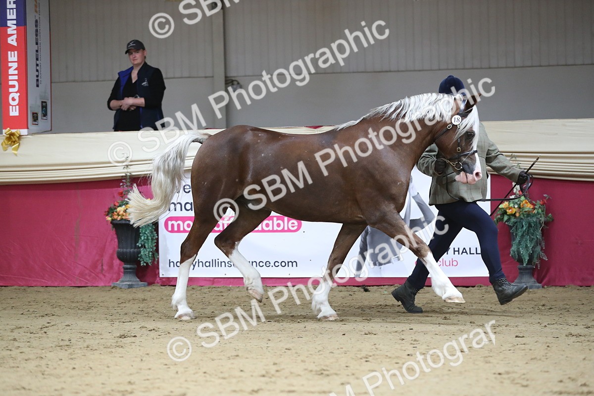 SBM_01311 - Class 3a Area IH Pre Vet