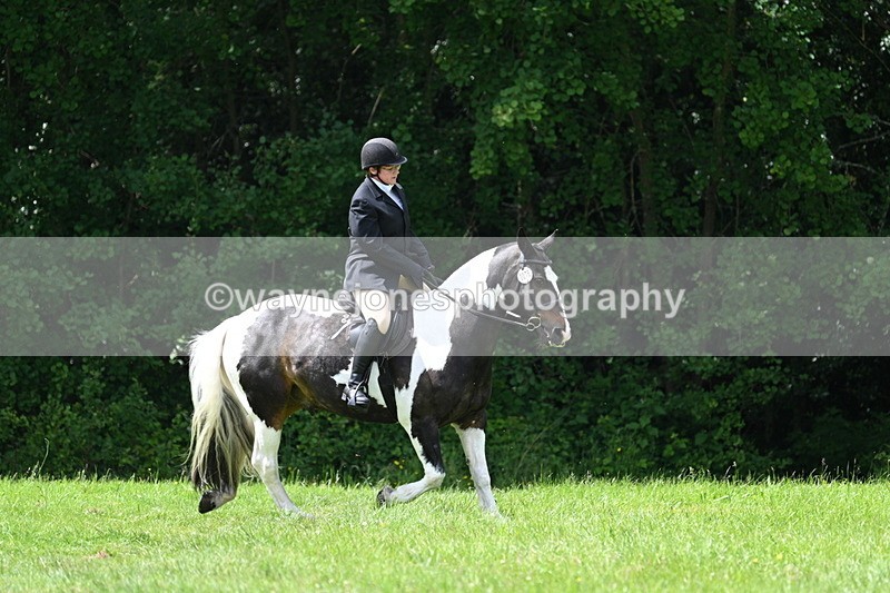 WJ7_2649 - Class 12A Coloured Class