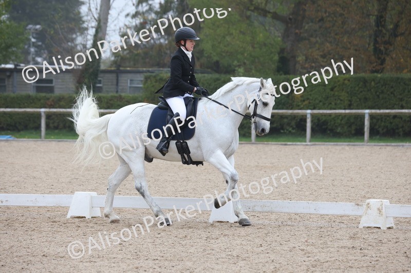 20251012-0404 - Class 3 - Novice 5