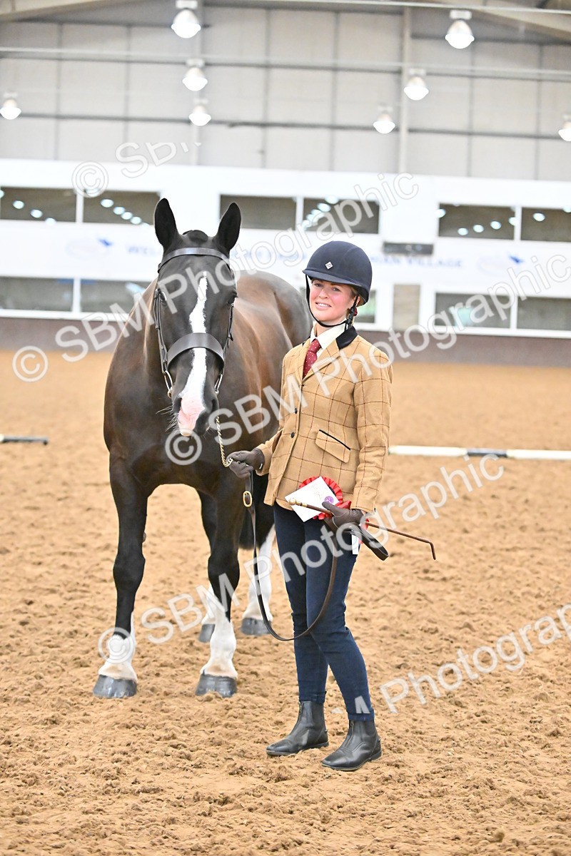 SBM_000105 - Class 4 - BSHA In Hand Show Cob