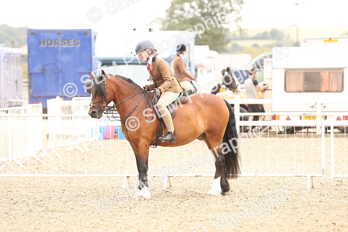 SBM_06252 - Class 57b -  Style & Performance - 60cm (20+)