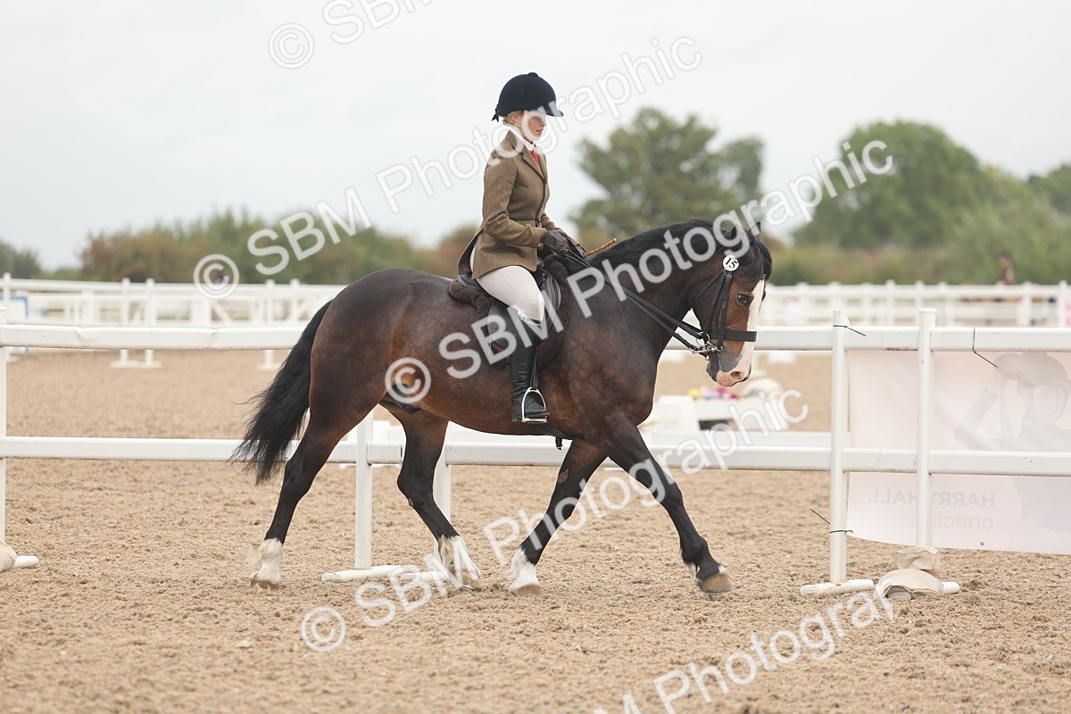 SBM_01876 - Class 14 - Ridden M&M Wildcard