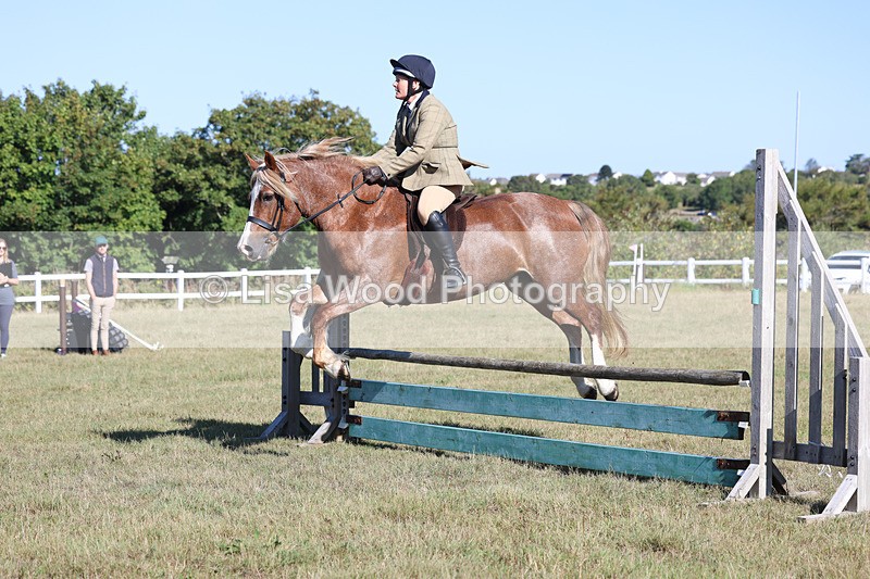 3E7A5425 - Class 3: Working Hunter 70cm
