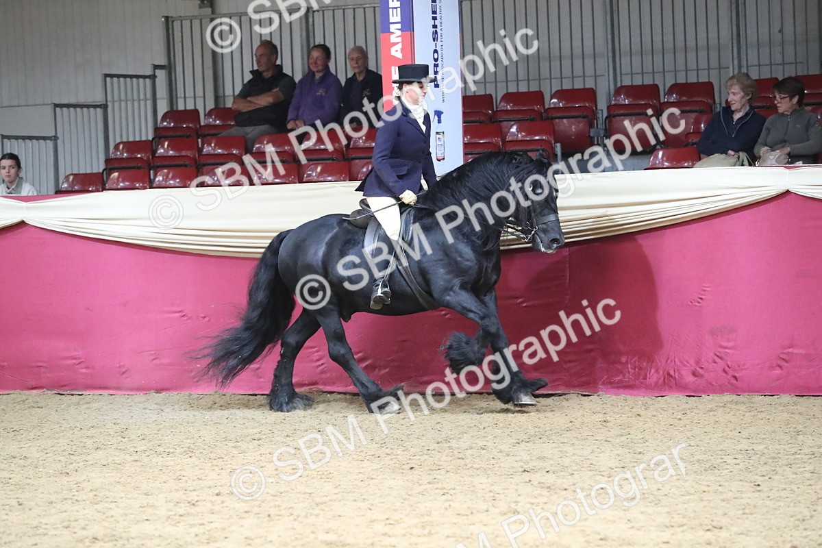 SBM_16342 - Class 502 M&M Ridden Supreme Final