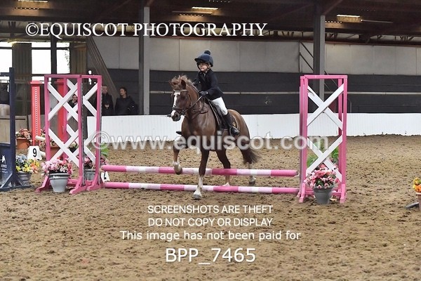 BPP_7465 - 40CM WORKING HUNTER