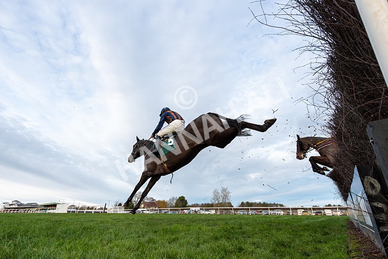 211125-Race 5-Sleeping Satellite-3287 - Race 5