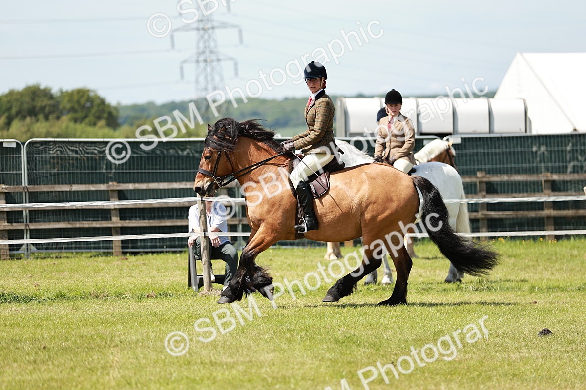 SBM_07075 - Class 26-30 - Mountain and Moorland Ridden