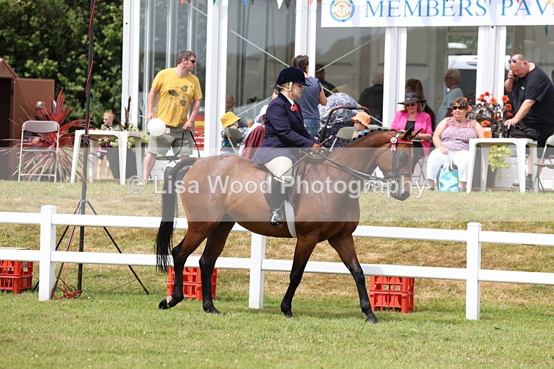 3E7A0790 - Class 8: Open Riding Horse/Hack