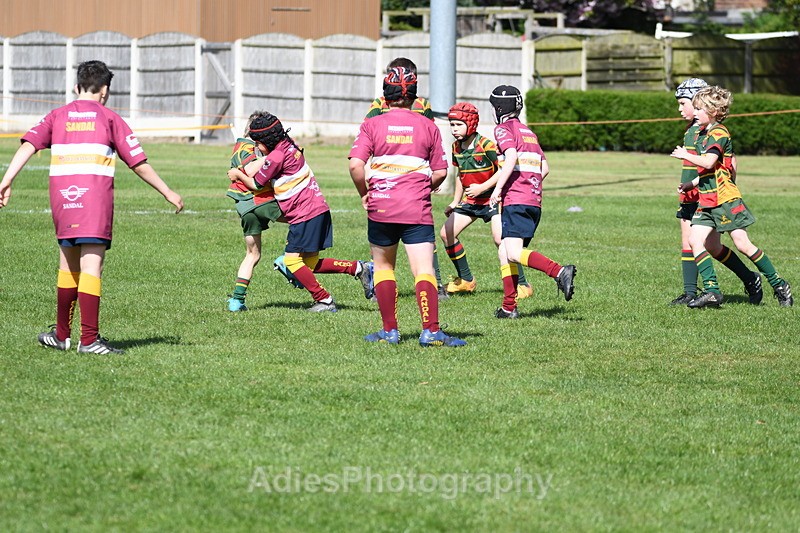  - Selby Rugby Festival 2025