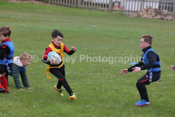 DAD22350 - Rookies/Mini Rugby on 7s Day