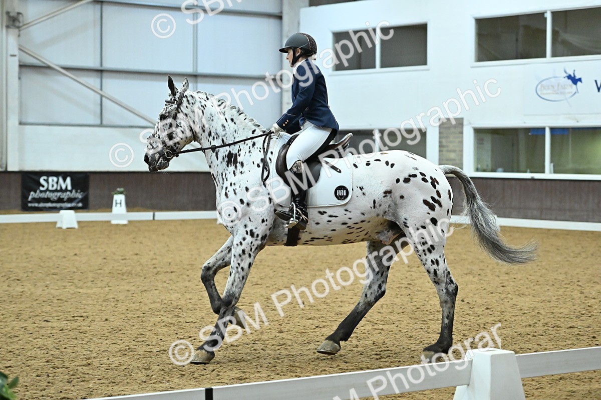 SBM_007505 - Class 81 - Novice 3