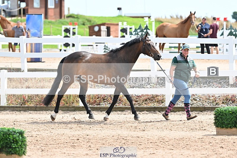 240717A-144213-02210 - Trot Up 2pm to 3pm - This folder is not in time order