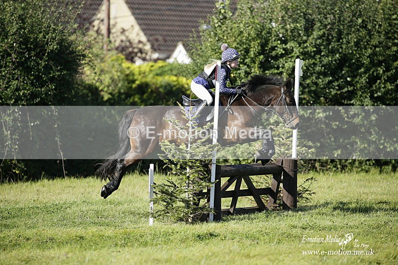  WWHT 031021 1288 - Open Novice (0.80m) 03/10/21