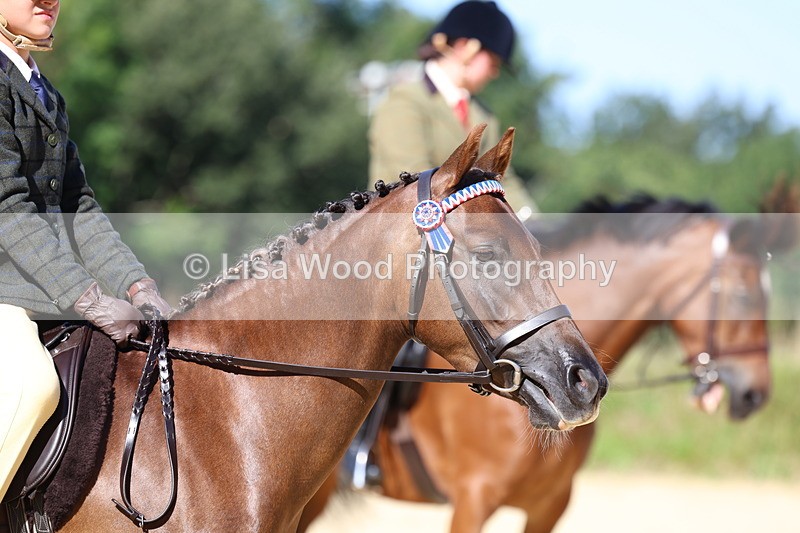 3E7A7900 - Class 14: Tack and Turnout