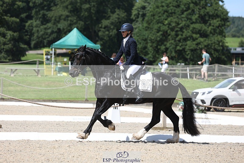 230811-121856-01034 - Cls 1 Prelim Bronze 11.10 to 12.35 break