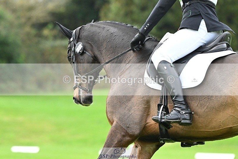 241024-100941-02942 - 406-Harvey.Crocker-THE.NIGHT.TRAVELLER