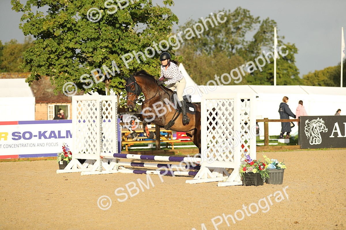 SBM_34164 - J60 Clear Round 50cm