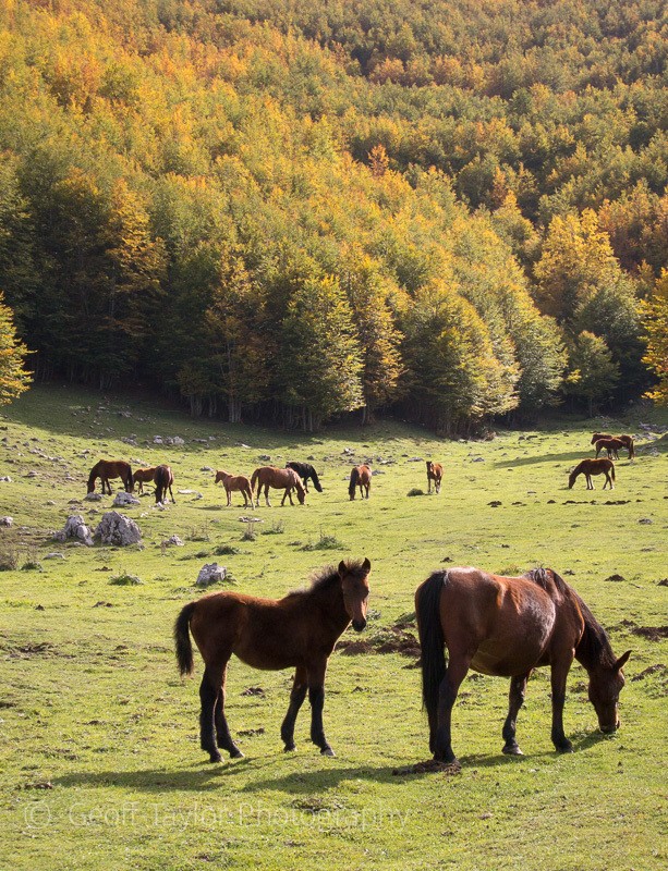 Monte Pollino walk - Naples, Padula & Northern Calabria