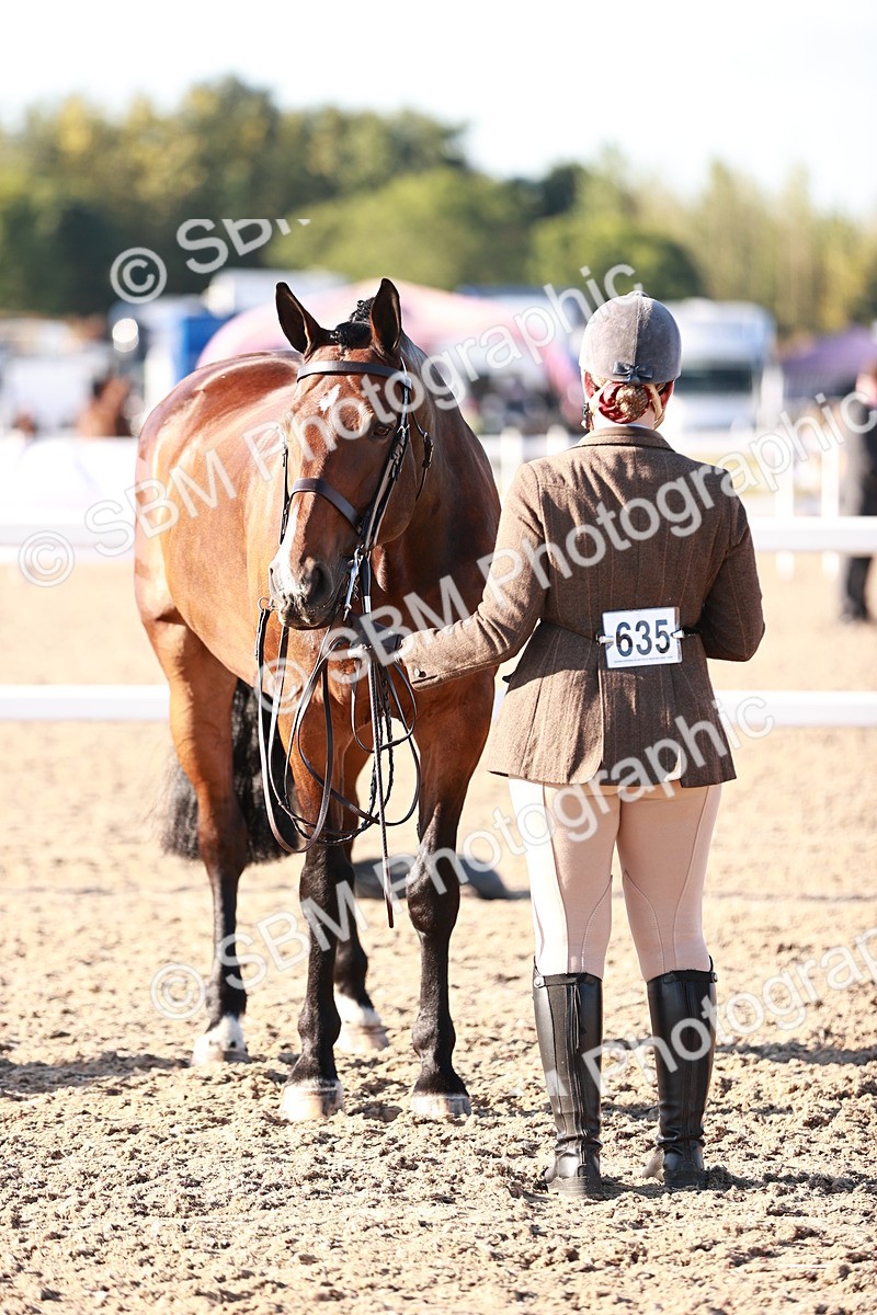 SBM_11200 - Class 401 - IH  Veteran horse