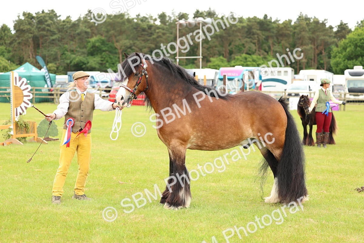 SBM_06326 - Class 39-41 TGCA In Hand and Ridden