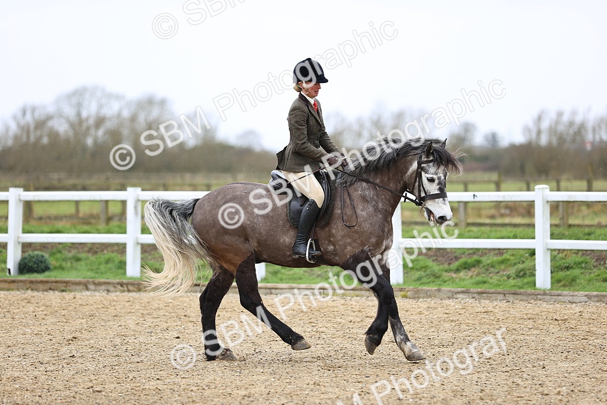 SBM_007521 - Class 31-32 - M&M Confined Novice Small-Large