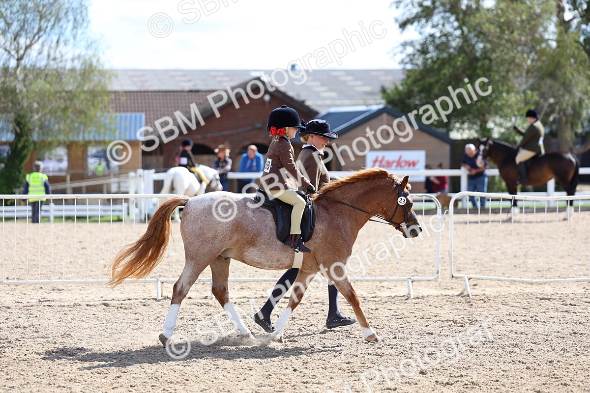 SBM_13026 - Class 309 - Lead Rein Pony