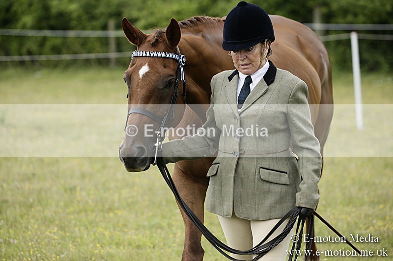 BVR160717-214 - Ring 2 BVRC Show 16/07/17