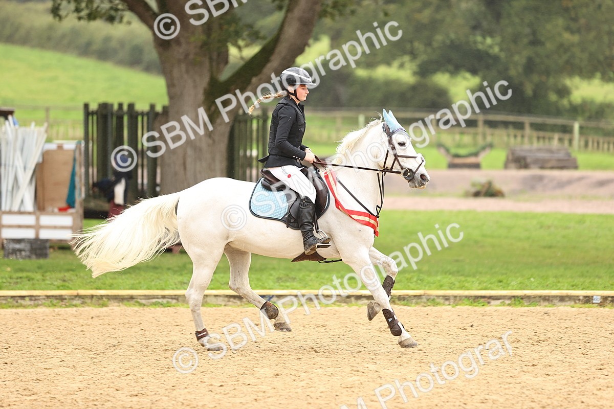 SBM_70106 - Supreme Championship 80cm 85cm
