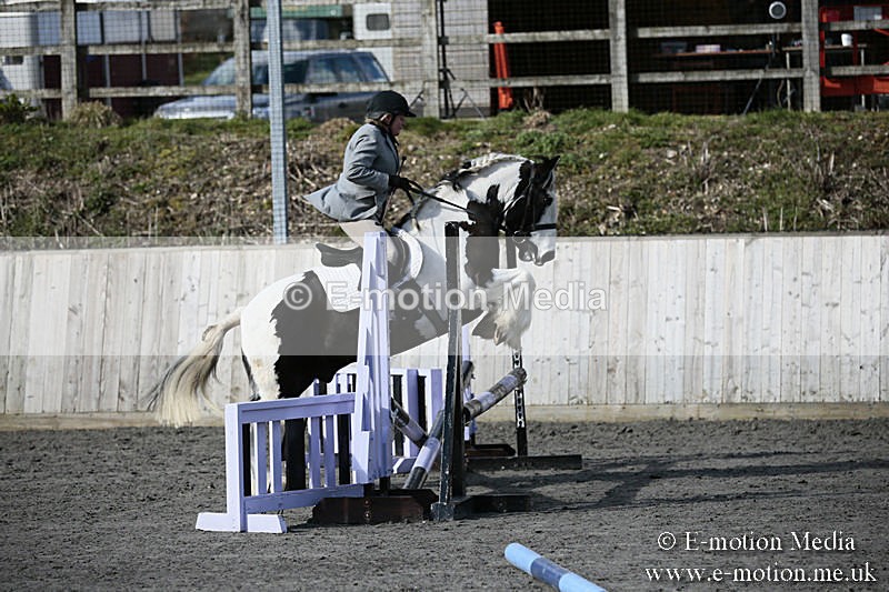 BVRC SJ 170319 83 - Bourne Valley Riding Club Showjumping 17/03/19