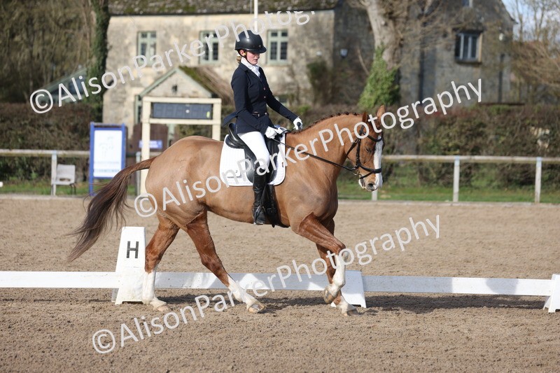 20260214-0607 - Class 5 - Novice 3