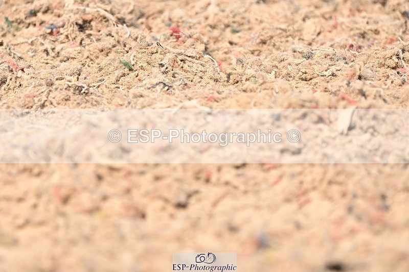 250620-152823-04360 - BD Cls 10 - Medium 5, 15.20 to End