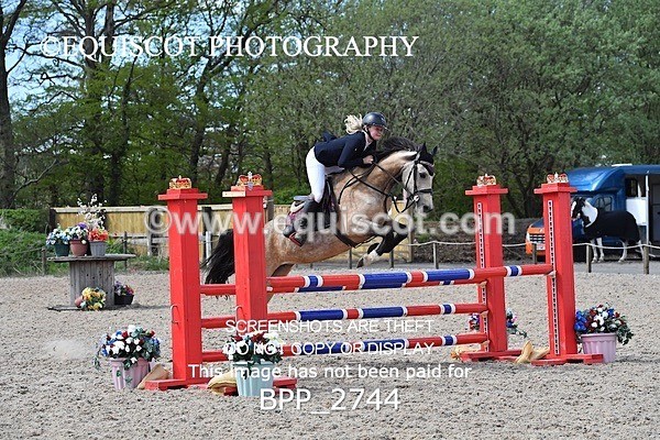 BPP_2744 - FRI CLASS 4 95CM AM CHAMP QUAL