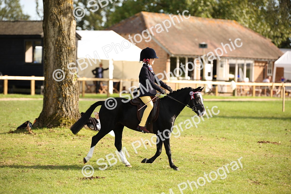 SBM_50145 - S26 - Young Veteran - Ridden