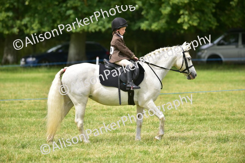 20260614-4183 - Class 17 - Best Mane and Tail