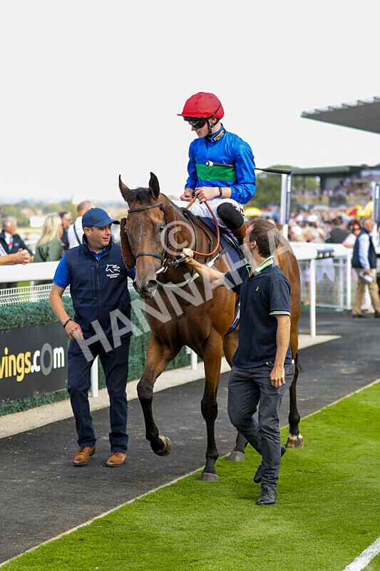 310824-Race 4-Spirit Of Applause-1598 - Race 4