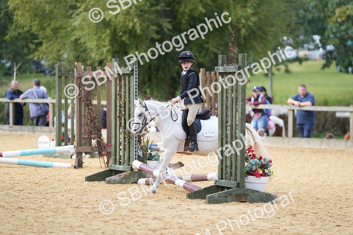 SBM_64338 - J2 - Mini Tour Junior Pony 30cm Championship