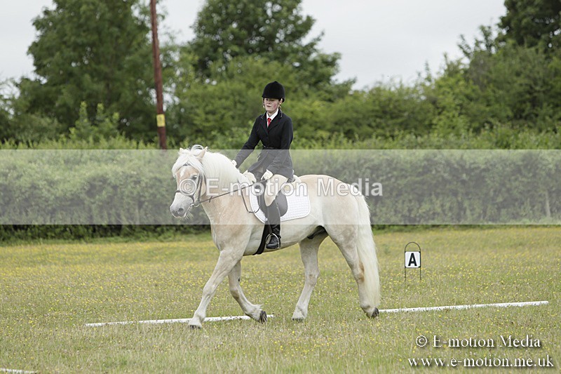 BVR160717-1217 - Class 2 Dressage 16/07/17