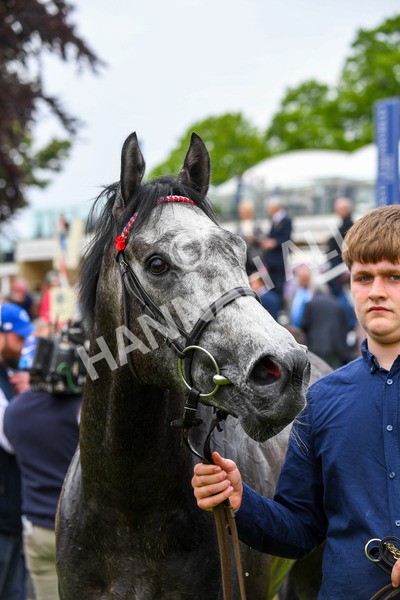 180523-Race 5-Great State-0680 - Race 5 4.10pm British EBF 40th Anniversary Westow Stakes