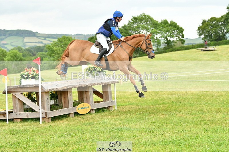 250524A-164338-14830 - C-273-Tim.Cheffings-HEARSAY.LARK.RISING