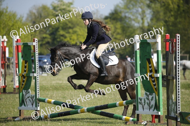 20250427-0334 - Class 12 - Rookie Jumping 40cm