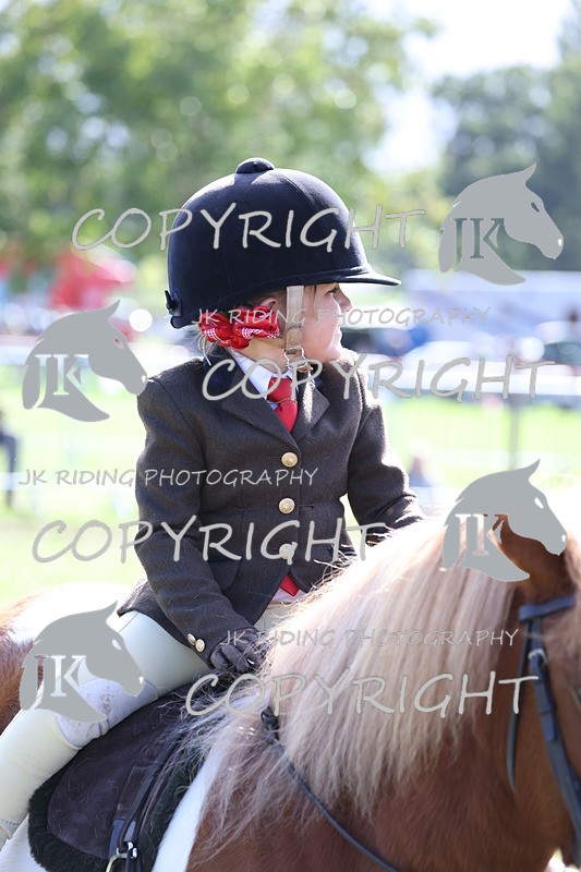 APP_3916 - Class 13 Lead rein