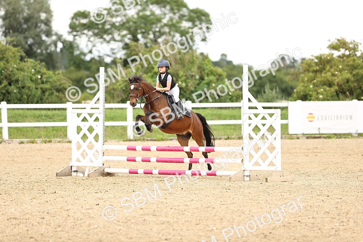 SBM_000478 - 60cm