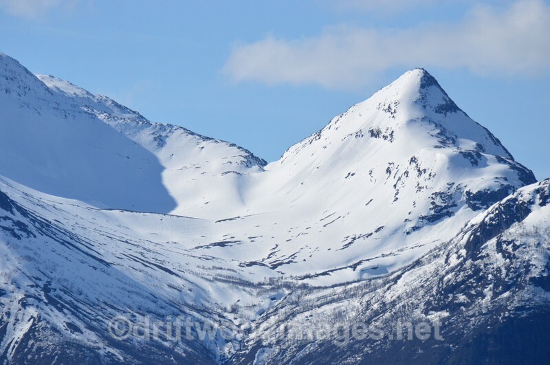 Norway Lofoten Islands detail 5 97 - Norway