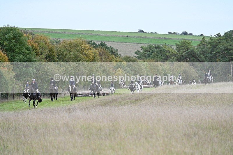 WJ7_3741 - Camera 1 Line 1